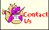 Contact details for bakpaka